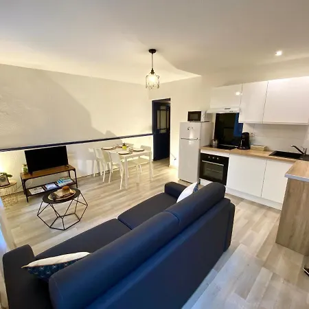 Patio, Jacuzzi Professionnel, Table De Massage, Climatise, Le Cocon De Pedro Apartment Carcassonne Exterior photo