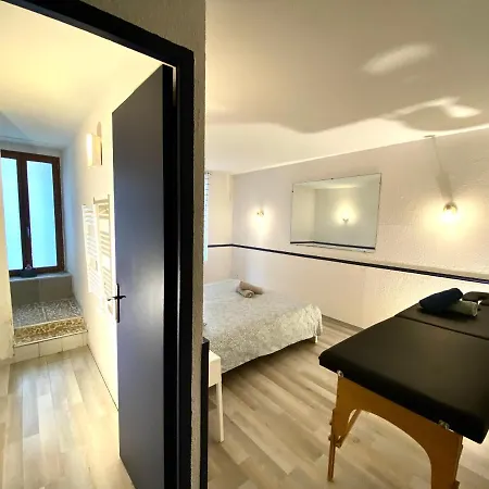 Patio, Jacuzzi Professionnel, Table De Massage, Climatise, Le Cocon De Pedro Apartment Carcassonne Exterior photo